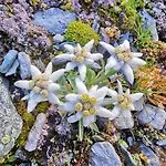 Selbstversorgerhuette N 15 Kleinwalsertal *