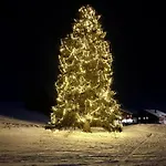 Selbstversorgerhuette N 15 Kleinwalsertal Farm stay Hirschegg (Vorarlberg)