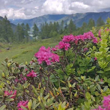 Selbstversorgerhuette N 15 Kleinwalsertal *
