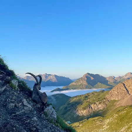 Alloggio per agriturismo Selbstversorgerhuette N 15 Kleinwalsertal Hirschegg (Vorarlberg)