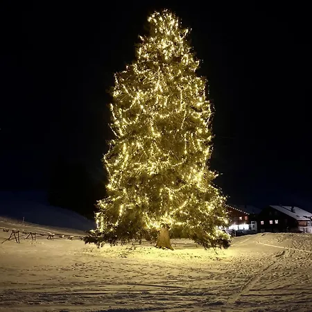 Selbstversorgerhuette N 15 Kleinwalsertal Alloggio per agriturismo Hirschegg (Vorarlberg)
